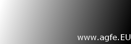 




                                                             www.agfe.EU